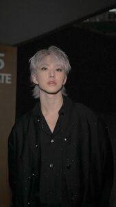 Hoshi - SEVENTEEN