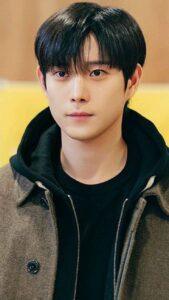 Kim Young Dae - attore