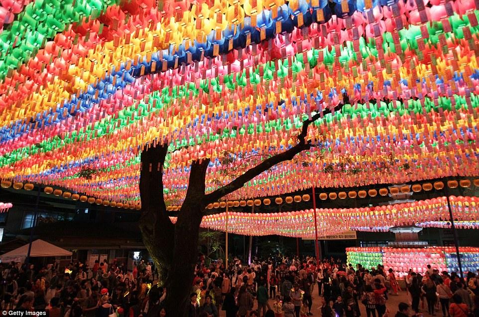 Un Mare di Luci per Buddha: La Magia del Vesak in Corea del Sud