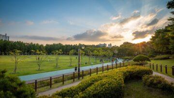 Ultimi giorni di magia al Seoul International Garden Show 2025