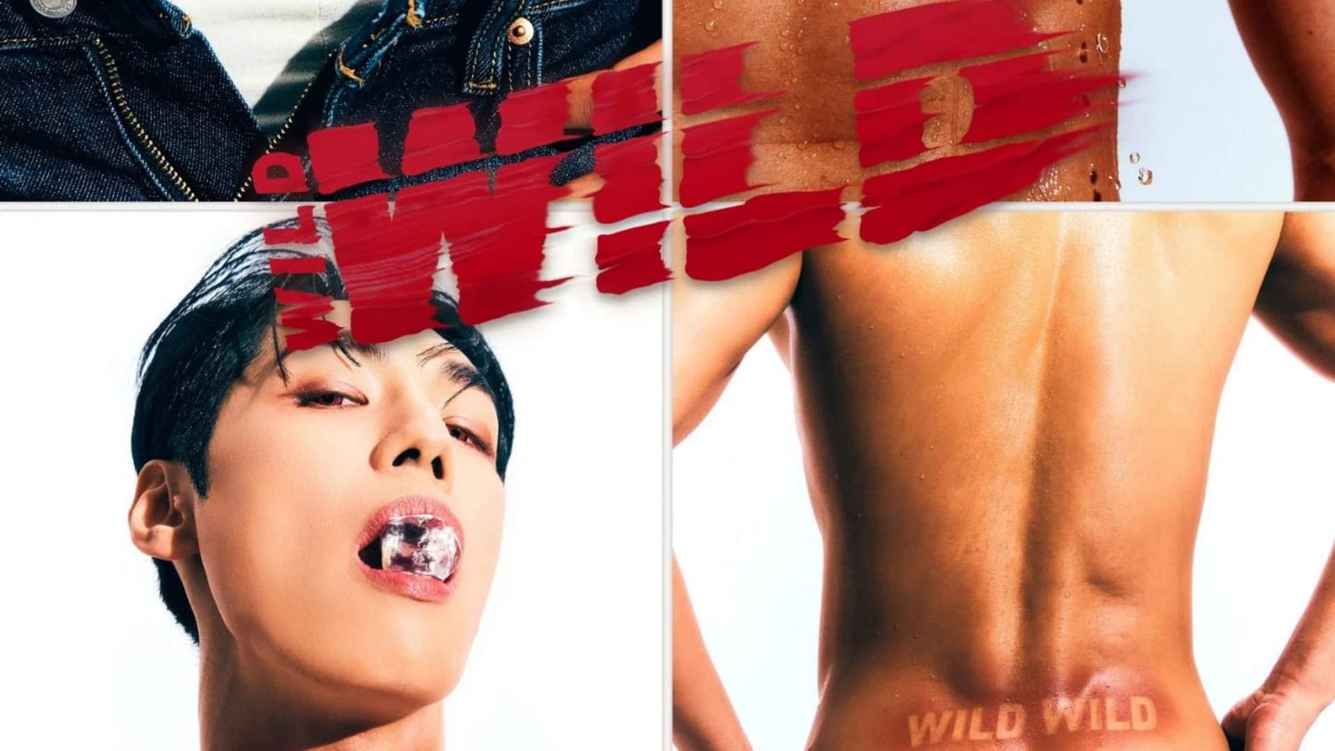 Un estratto della locandina dell'evento - Wild Wild