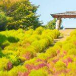 Credits Seoul Metropolitan Government