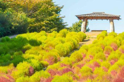 Credits Seoul Metropolitan Government