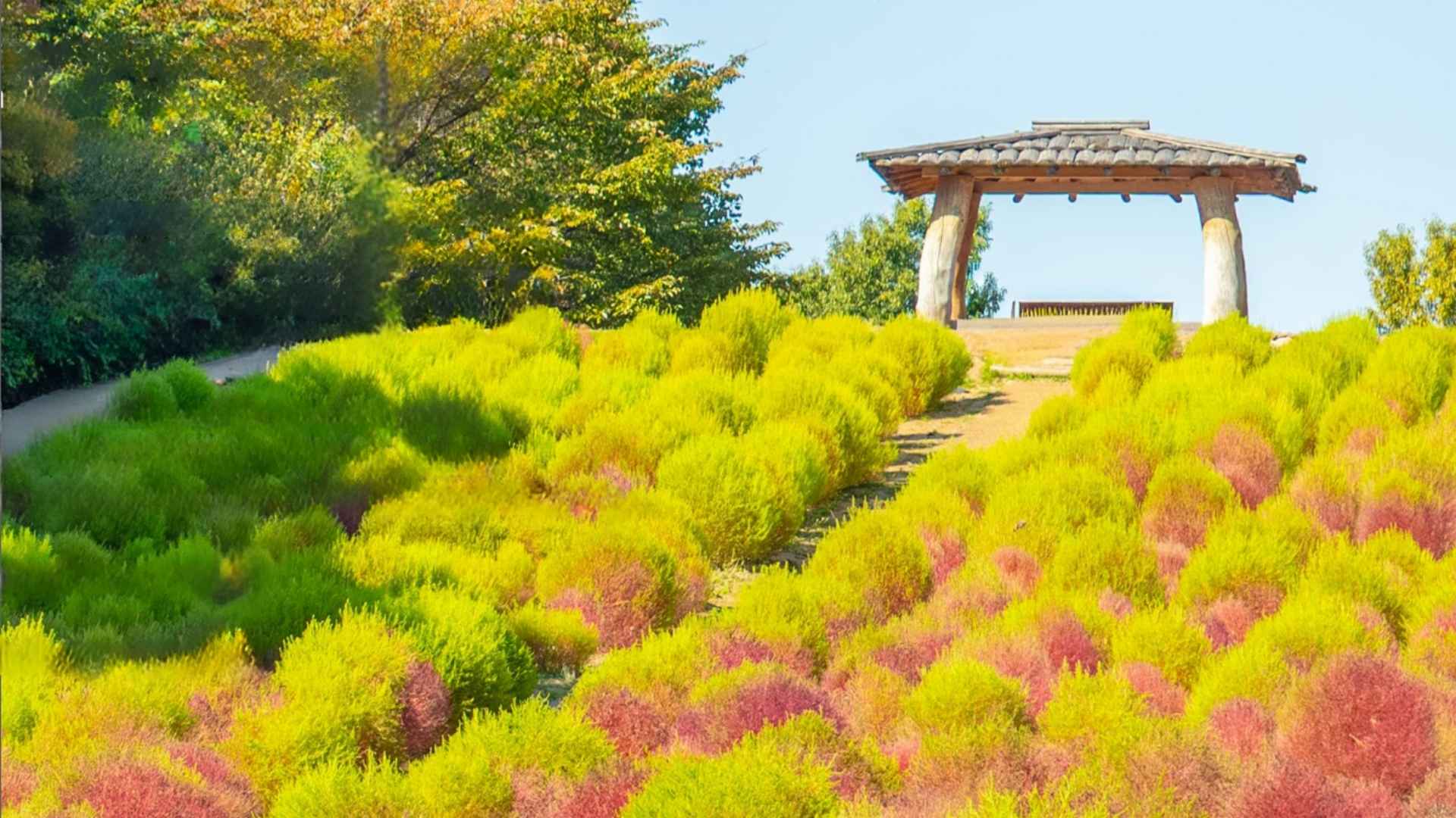 Credits Seoul Metropolitan Government