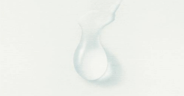 Un particolare della copertina del libro, edizioni Adelphi