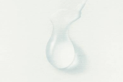Un particolare della copertina del libro, edizioni Adelphi