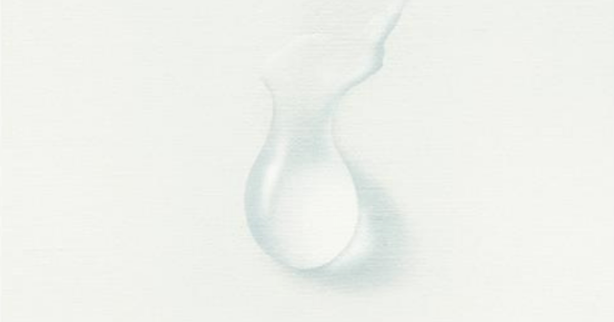 Un particolare della copertina del libro, edizioni Adelphi