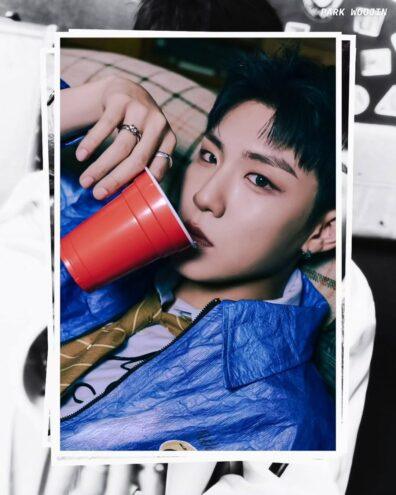 Park Woojin