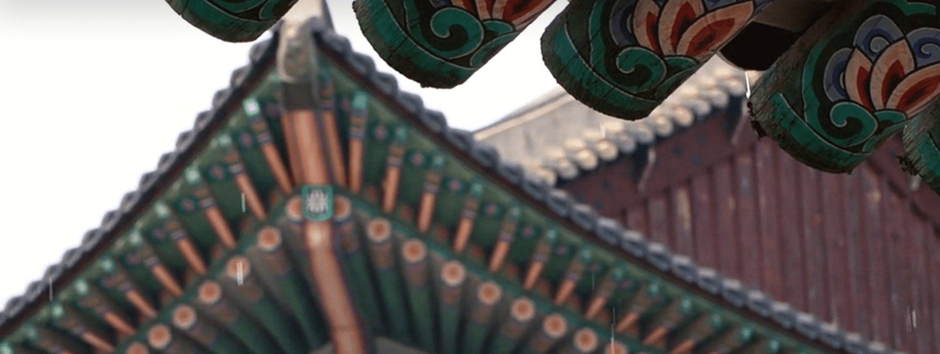 Sardinia Meets Korea Membership