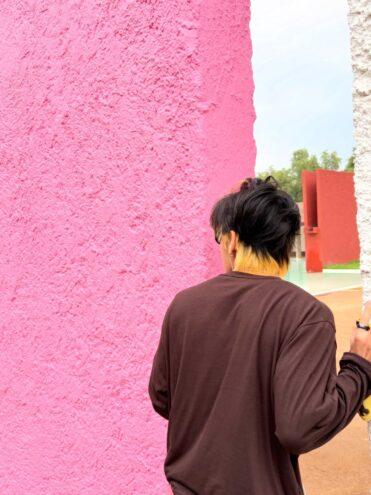 V dei BTS in visita alla Cuadra San Cristóbal a Città del Messico